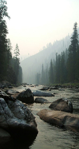 Fly Fishing