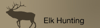 elk hunting