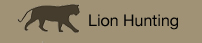 lion hunting