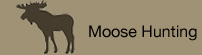 moose hunting