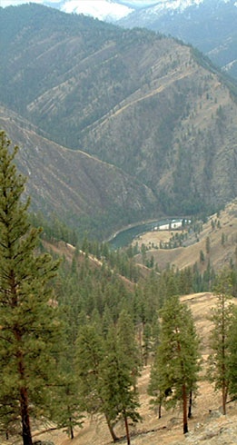 hunting, fishing, trail riding, camping adventures in the Idaho Selway-Bitteroot Wilderness. 