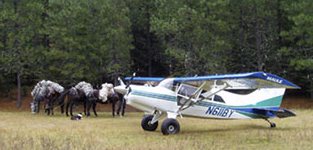 fly in to backcountry Idaho hunting.