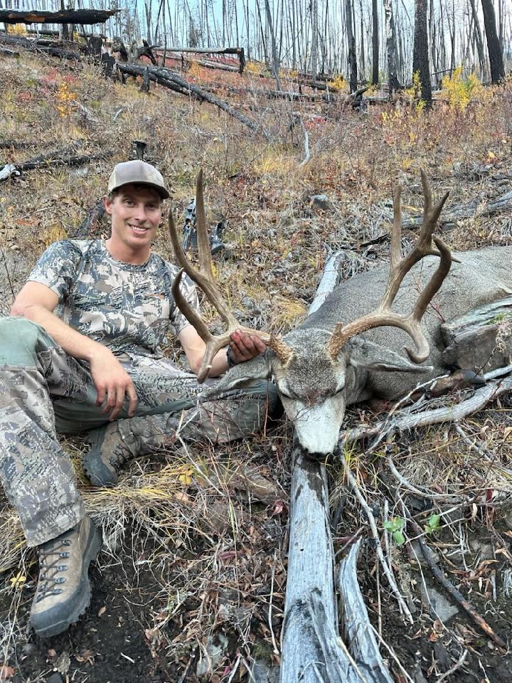 Recent Deer Photos