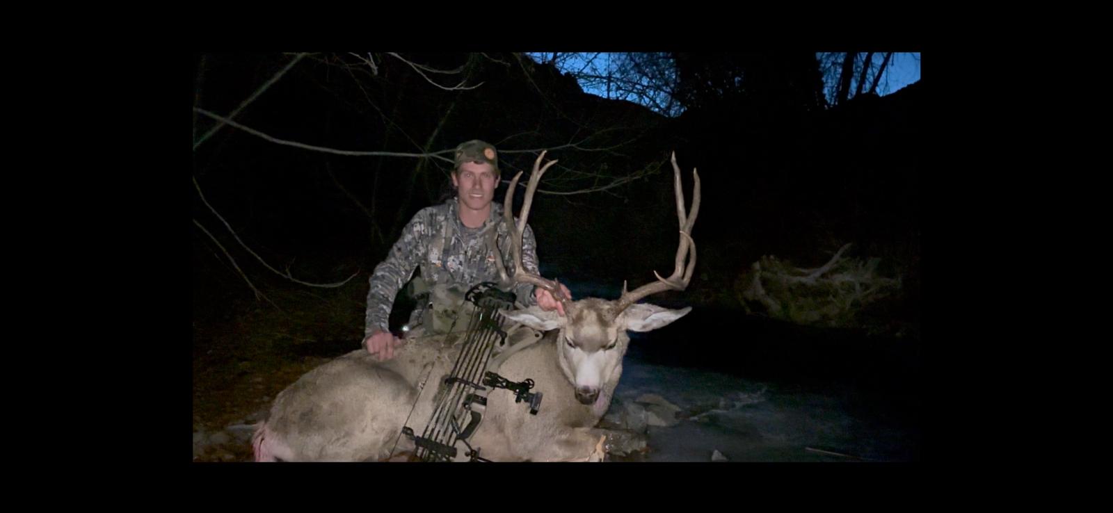 Recent Deer Photos