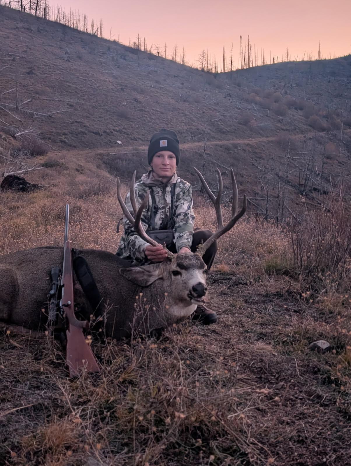 Recent Deer Photos